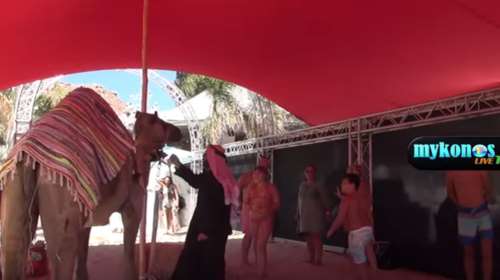 Εικόνες "κιτς" - Έφεραν και καμήλες για τη συναυλία Ρέμου στο Nammos video