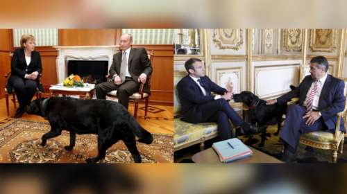 Τα μαύρα σκυλιά του Μακρόν &amp; του Πούτιν και οι...γερμανοί