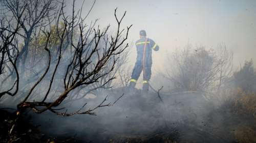 Υπό μερικό έλεγχο η δασική πυρκαγιά στην Ήλιδα της Ηλείας