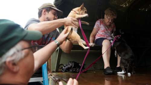 Μπιγιονσέ, Κλούνεϊ, Ρόμπερτς στον τηλεμαραθώνιο για τα θύματα του Χάρβεϊ