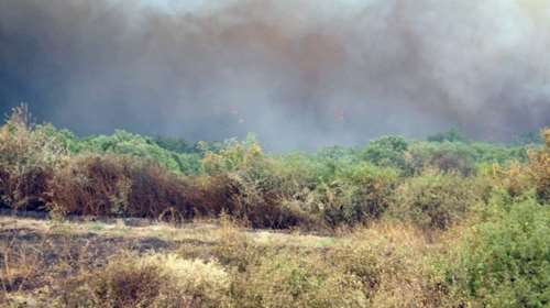 Φωτιά στην Πυλαία Αλεξανδρούπολης - καίγεται πευκοδάσος