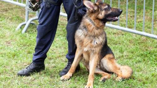 Αστυνομικοί συγκινημένοι αποχαιρετούν σκύλο συνάδελφό τους (ΦΩΤΟ)