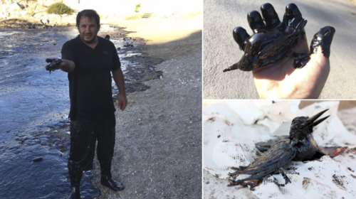 Σαλαμίνα: Φωτορεπόρτερ του Reuters βούτηξε στο μαζούτ για να σώσει μια ζωή