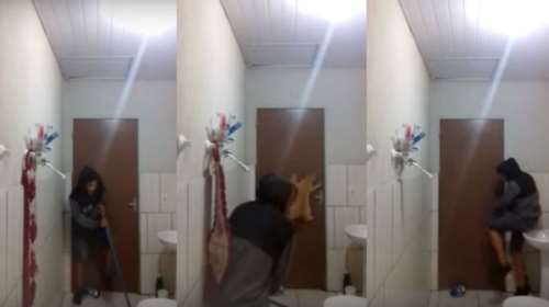 Πήγαν να πιάσουν το ποντίκι-Το μετάνιωσαν και αυτός και η γάτα