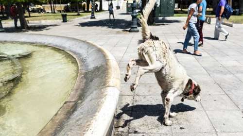 Καύσωνας και σήμερα στη χώρα - Ως και 37 βαθμούς η θερμοκρασία