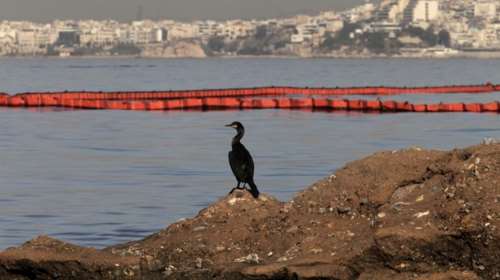 Καθηγητής τοξικολογίας: 2 χρόνια για να καθαρίσει ο Σαρωνικός
