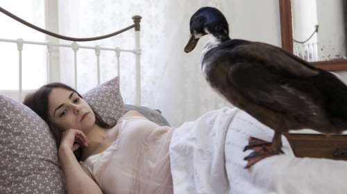 Από τη ΜεγάληΧίμαιρα στο Γιούγκερμαν.Τι θα δούμε στο θέατρο Πορεία