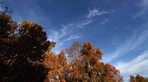 Ήρθε φθινόπωρο: Ήλιος αλλά και 10 βαθμούς κάτω η θερμοκρασία