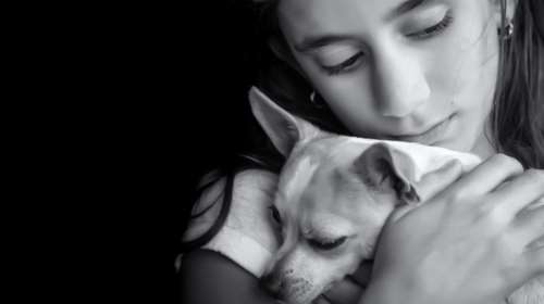 Η κακοποίηση ζώων δείχνει βία και στην οικογένεια-παραδείγματα που σοκάρουν