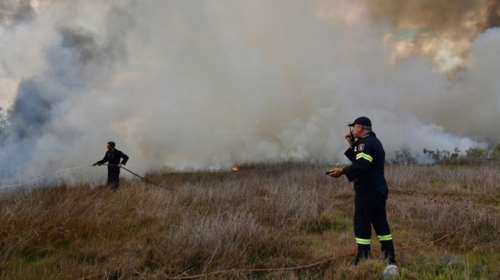 Πυρκαγιά στην παραλιακή οδό Ναυπλίου - Νέας Κίου [φωτό]