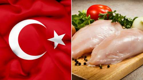 Όταν μπερδεύεις τα μπιφτέκια γαλοπούλας με την... Τουρκία