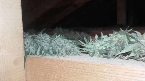 Πενηντάχρονος στην Πιερία με 30 κιλά κάνναβης