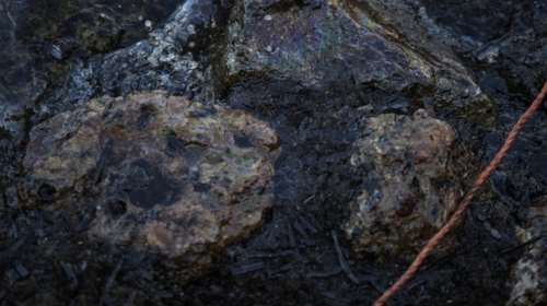 Συνελήφθησαν ναυτικοί για πρόκληση ρύπανσης στο Κερατσίνι