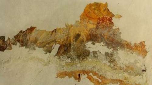 Μια σπάνια έκδοση για να σωθούν οι Αμάδες Χίου. Δωρεάν στους κατοίκους του