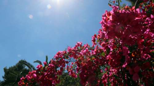 O καιρός την Κυριακή: Εως 27 βαθμούς η θερμοκρασία