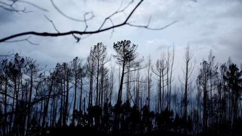 Πορτογαλία: 45 νεκροί από τις φωτιές, παραιτήθηκε η υπουργός Εσωτερικών