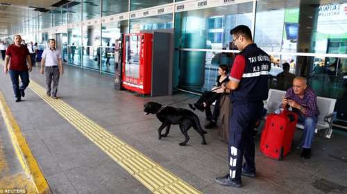 Σκυλιά... η αφορμή για τη νέα ένταση μεταξύ Βιέννης και Άγκυρας
