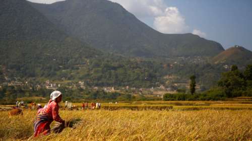 Οδοιπορικό του Reuters στο Νεπάλ: Η καθημερινότητα των χωρικών