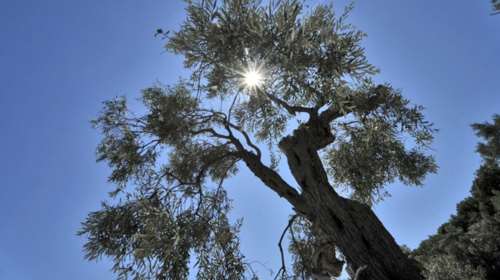 Καλός ο καιρός με νεφώσεις από το βράδυ σε όλη τη χώρα