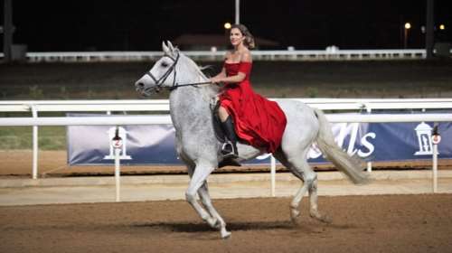 ΟΠΑΠ: Φιλανθρωπικό fashion show στον Ιππόδρομο για την ΕΛΕΠΑΠ