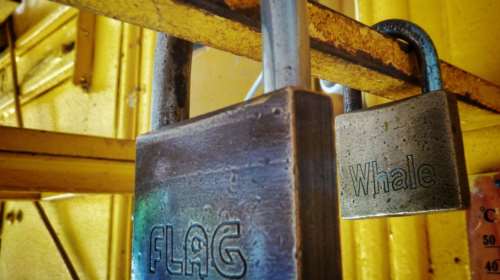 ICAP: Απώλειες για το λιανικό εμπόριο ηλεκτρικών και οικιακών συσκευών