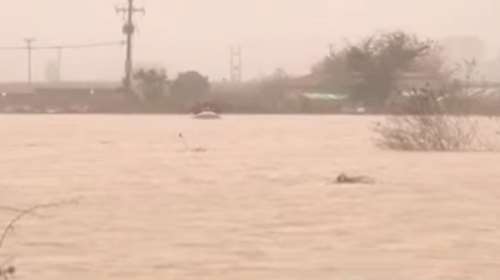 Έσωσαν με ...βάρκα 4 εγκλωβισμένους σε χωράφια της Πιερίας