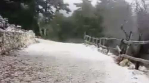 Έπεσαν τα πρώτα χιόνια στην Πάρνηθα – Δείτε το βίντεο