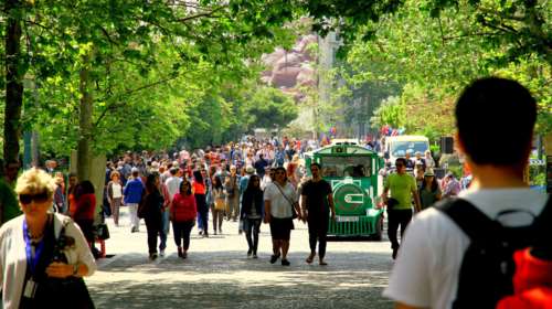 ΤτΕ: Εσοδα 12,994 δισ. από τον τουρισμό μέσα σε 9 μήνες