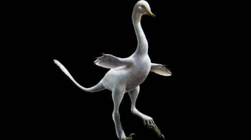 Ανακαλύφθηκε ο πρώτος αμφίβιος σαρκοβόρος δεινόσαυρος