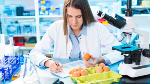 Ειδικοί:Αυξήθηκαν πολύ τα κρούσματα σαλμονέλας στην Ε.Ε το 2016