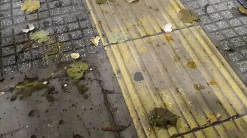 Πέταξαν αυγά στη βράβευση της προέδρου των Συμβολαιογράφων Βίντεο