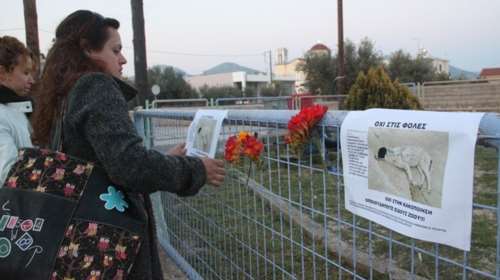 Σκότωσαν 23 σκύλους στον Βόλο - Σοκαρισμένοι οι ιδιοκτήτες τους