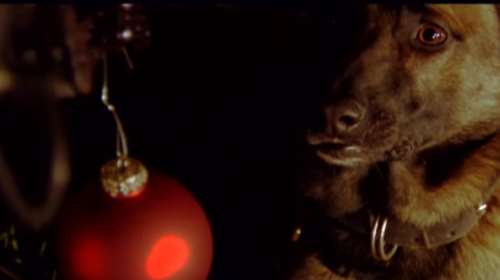 Κινηματογραφική ταινία το χριστουγεννιάτικο βίντεο της ΕΛΑΣ