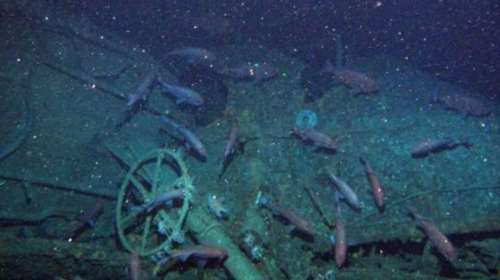 Αυστραλία: Βρήκαν το υποβρύχιο «φάντασμα» του Α&#39;Παγκοσμίου Πολέμου