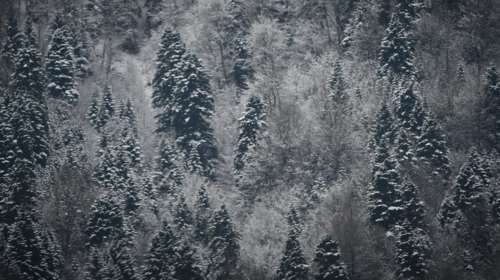 Χωρίς ρεύμα δεκάδες οικογένειες στα ορεινά της Αχαΐας