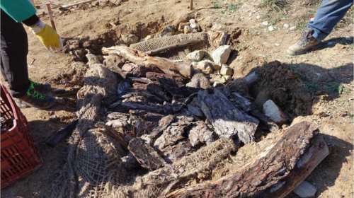 Στον Εβρο άρχισαν να φτιάχνουν ειδικούς λάκους για φίδια (φωτό)