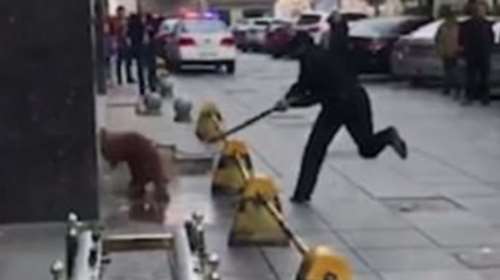 Αστυνομικός χτύπησε μέχρι θανάτου σκυλί  - Βίντεο