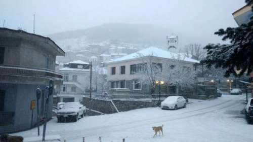 Στα «λευκά» ντύθηκαν τα ορεινά της Λάρισας [εικόνες]