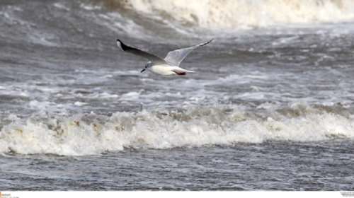 Βελτιώνεται ο καιρός - Ήλιος και μικρή άνοδος της θερμοκρασίας