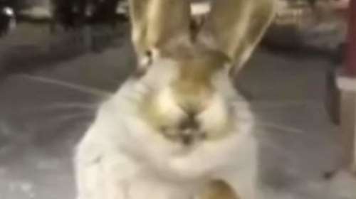 Εικόνες-σοκ στο Καζακστάν: Στους -56 η θερμοκρασία