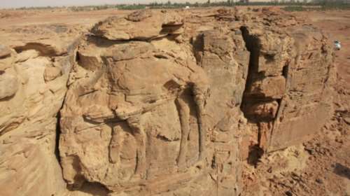 Αρχαιολόγοι ανακάλυψαν ...καμήλες ηλικίας 2.000 ετών