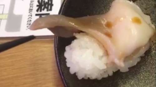 Η περίεργη στιγμή που ένα πιάτο sushi σε... χαιρετάει [απίστευτο βίντεο]