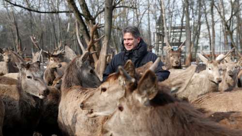Οι πρωταγωνιστές στο Κέντρο Εκπαίδευσης Ζώων στο Godollo της Ουγγαρίας