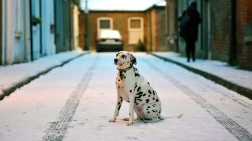 Πάγωσαν Λονδίνο και Δουβλίνο από τον χιονιά
