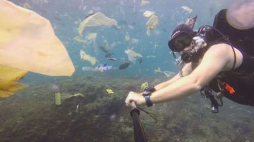 Eικόνες που σοκάρουν στον βυθό του Μπαλί