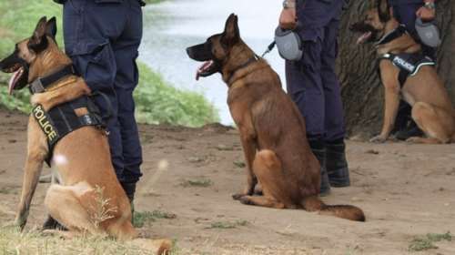 Αθώοι οι δημοσιογράφοι που συνελήφθησαν στον Έβρο - Αφέθησαν ελεύθεροι