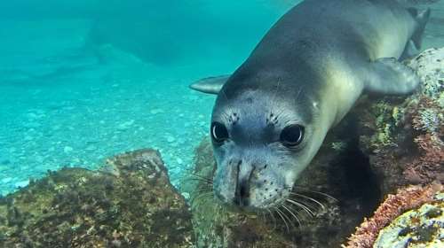 Πέντε ελληνικές υποψηφιότητες για το Natura 2000
