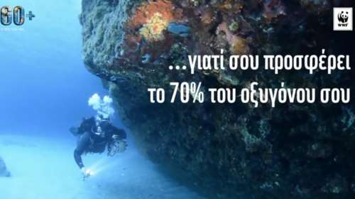 Για τη θάλασσα η «Ώρα της Γης» το Σάββατο 24 Μαρτίου