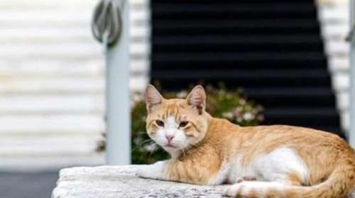 Η παρέμβαση Μαξίμου &amp; το παρασκήνιο που οδήγησε στην απόσυρση