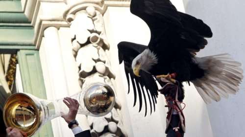 &quot;Απέδρασε&quot; ο αετός - μασκότ της Μπενφίκα πριν το ματς